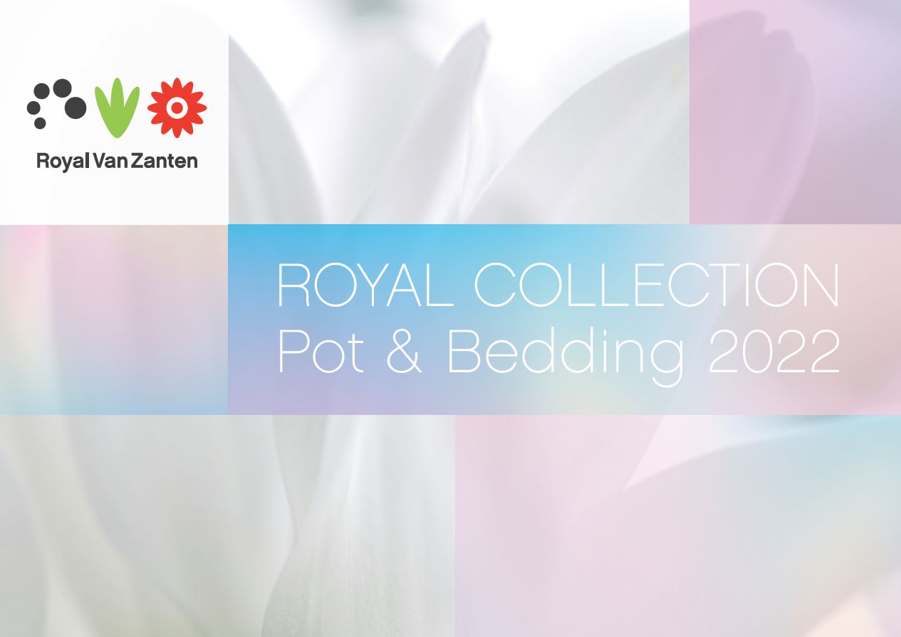 Royal van Zanten